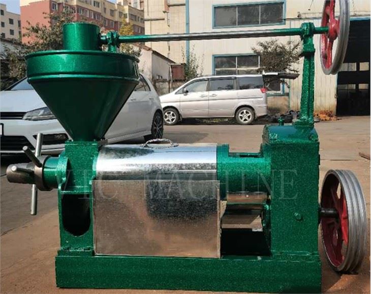 Cold Press Oil Extraction Machine with CE 6YL-100 Cold Press Oil Extraction Machine with CE 6YL-100